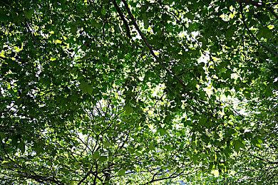 世嘉迷你街机Astro City 5公开 售价1100元、明年发售