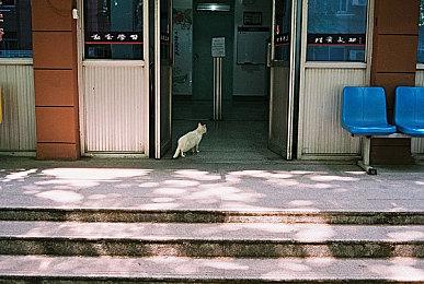 黑暗降临：夜间＆弱光地图首次在《人间地狱》PC版上推出